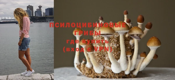 бошки Володарск