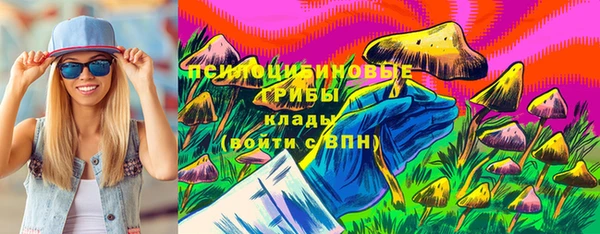 крисы Тайга