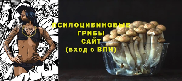 бошки Володарск