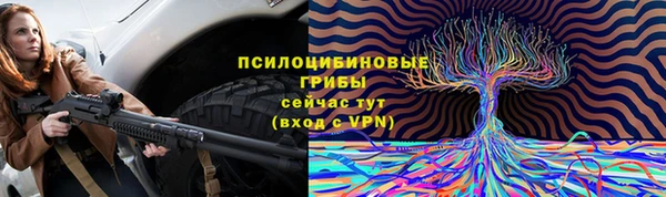 сатива Волоколамск