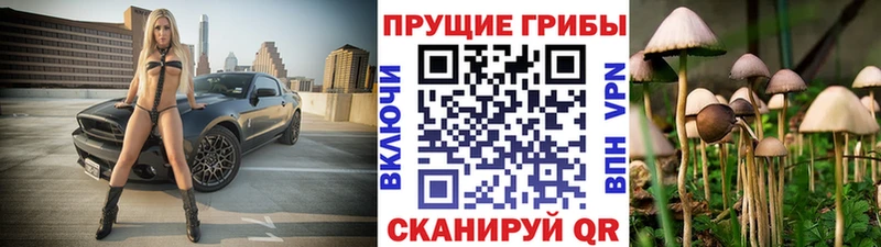 что такое   Звенигово  Галлюциногенные грибы GOLDEN TEACHER 